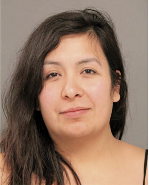 MAGDA S GAUCIN, Cook County, Illinois