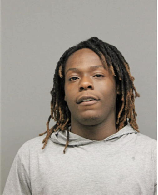 JERRY B JENKINS, Cook County, Illinois