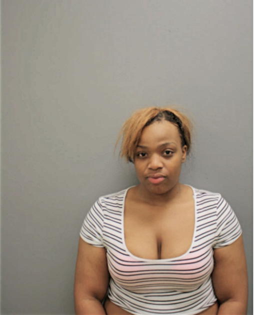 BRITTANY L JOYNER, Cook County, Illinois