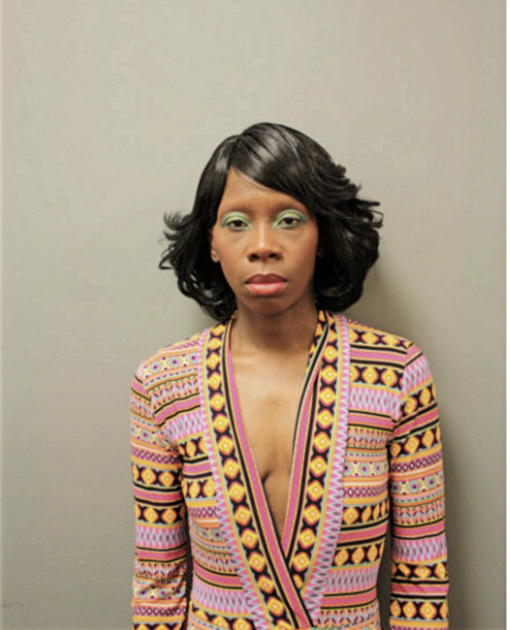 RHONDA P LEVY, Cook County, Illinois