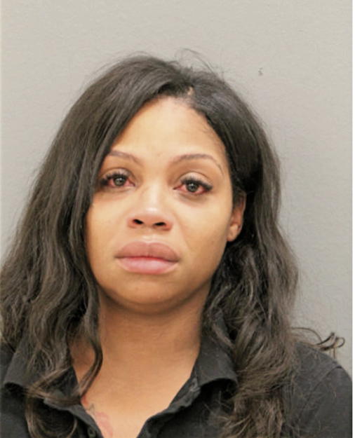 LASHAUNDA T LEWIS, Cook County, Illinois