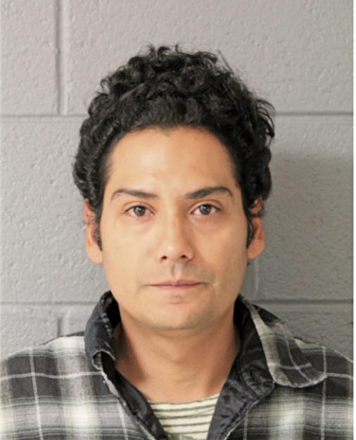 CESAR LUNA, Cook County, Illinois