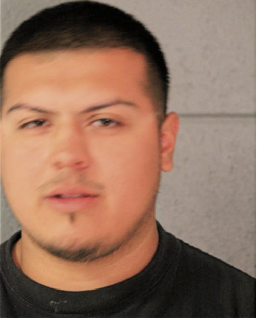 DANIEL E MEJIA, Cook County, Illinois