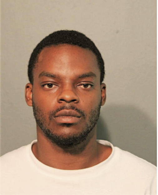 AARON A OKELOLA, Cook County, Illinois