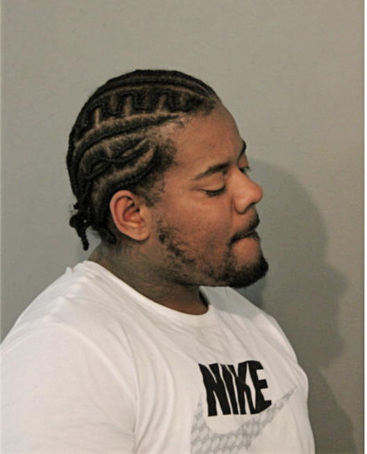 STEVEN L ORR, Cook County, Illinois