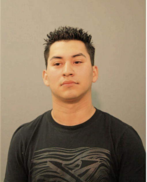 ALAN G PRADO, Cook County, Illinois
