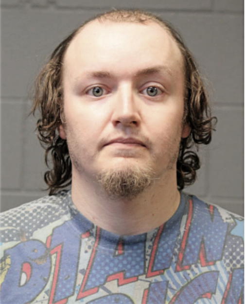 KYLE D REESE, Cook County, Illinois