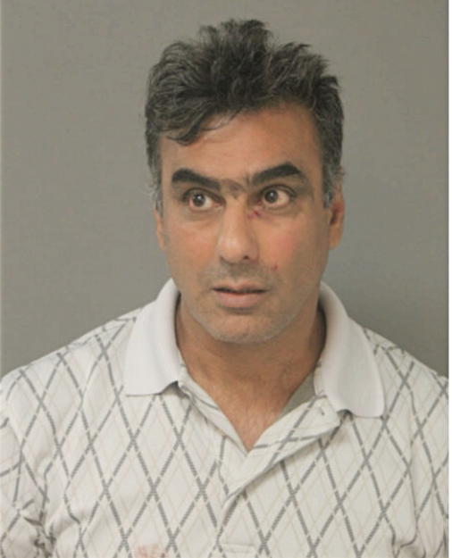 MASOUD SAFARPOUR, Cook County, Illinois