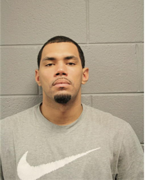 ROBERT N SHOWALTER, Cook County, Illinois