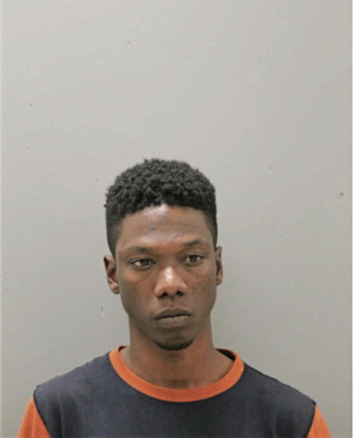 SHELVY I T JOHNSON, Cook County, Illinois
