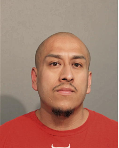 RAUL A VILLACIS, Cook County, Illinois
