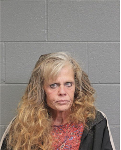 TAMMY L YOUNG, Cook County, Illinois