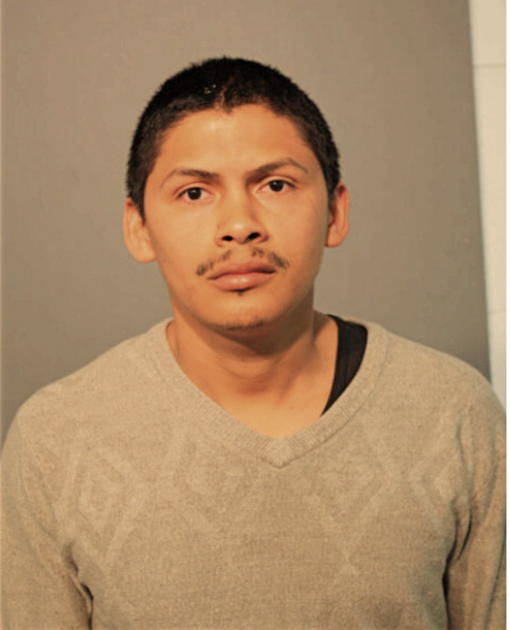 MILTON ZELAYA, Cook County, Illinois