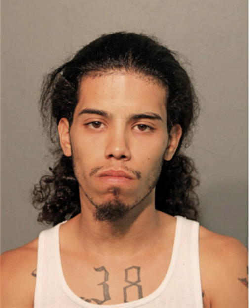 ANTHONY J ALVARADO, Cook County, Illinois