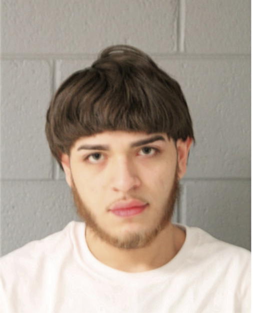 MARVIN ALZATI, Cook County, Illinois