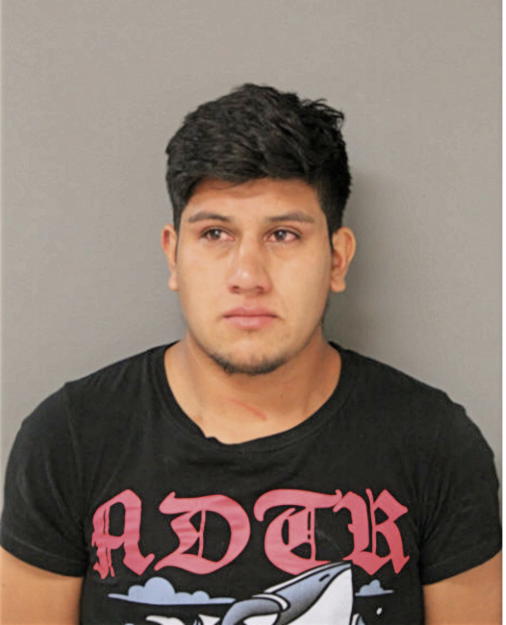 LUIS A BERMEO, Cook County, Illinois
