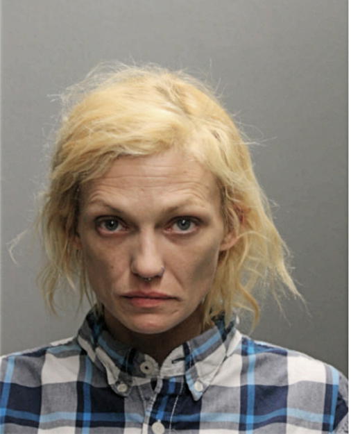 CARRIE K BRUMMEL, Cook County, Illinois