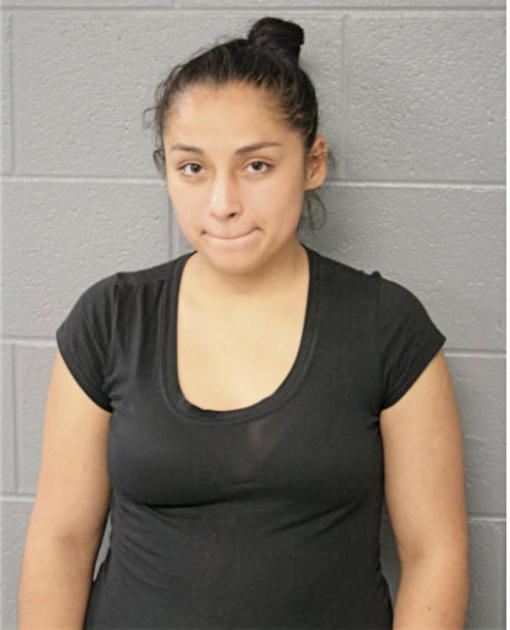 MANUELA M BUSTAMANTE, Cook County, Illinois