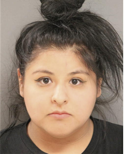 VIRDIANA CASTILLO, Cook County, Illinois