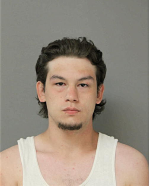 JOHNNIE J DAVIS, Cook County, Illinois