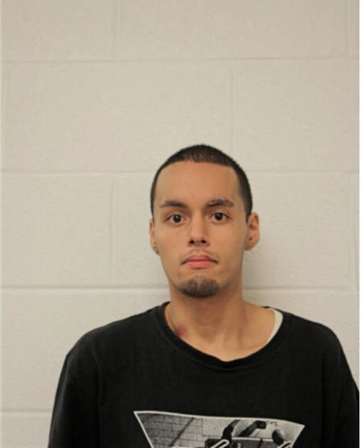 SERGIO R GIRON, Cook County, Illinois