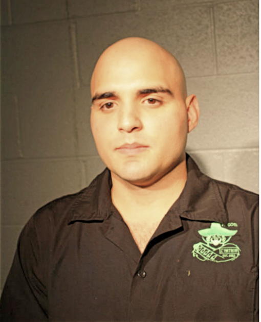 ERNESTO N GONZALEZ, Cook County, Illinois