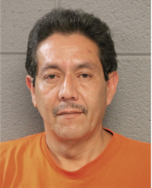 NOEL G GONZALEZ, Cook County, Illinois