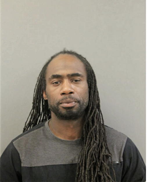 SAMUEL G HENDERSON, Cook County, Illinois