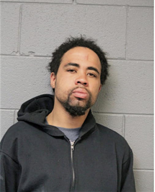 CHRISTOPHER F JOHNSON, Cook County, Illinois