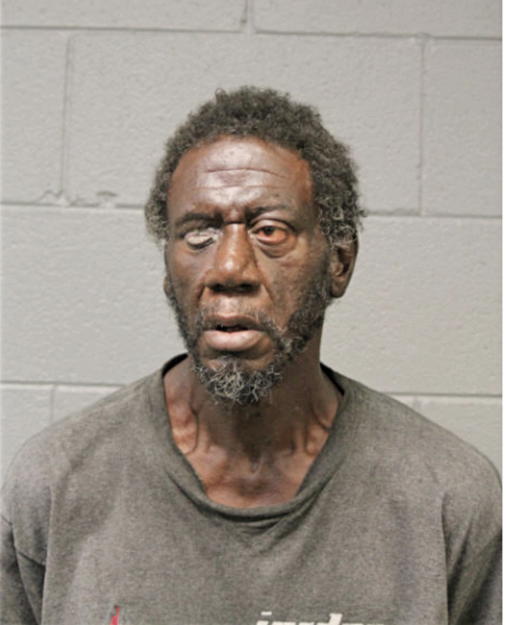NORMAN L SLAUGHTER, Cook County, Illinois
