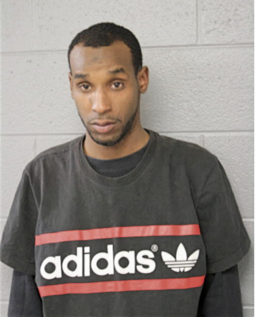 MITCHELL D LEE, Cook County, Illinois