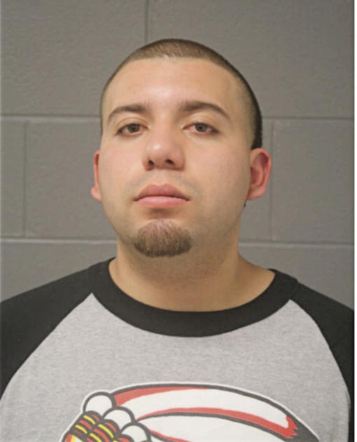 VICTOR A LOERA, Cook County, Illinois