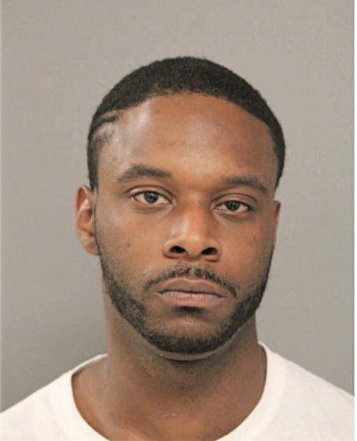 LYNELLE J PERKINS, Cook County, Illinois