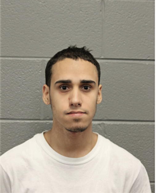 RAFAEL R RAMOS, Cook County, Illinois