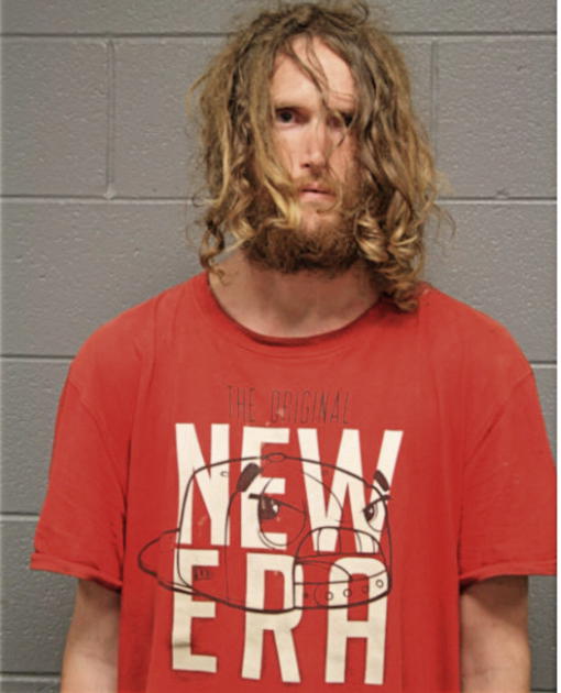 ROBERT ANDREW ROBINSON, Cook County, Illinois