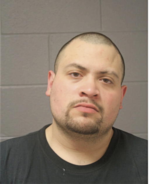ADRIAN SEPULVEDA, Cook County, Illinois