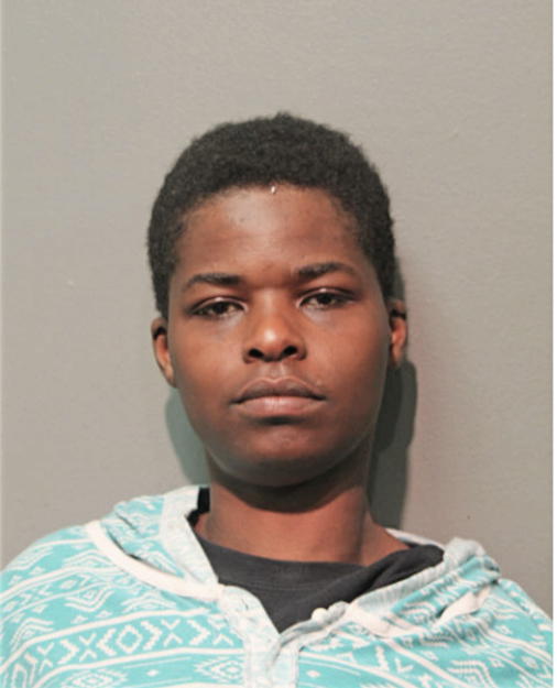 MICHELLE S WILLIAMS, Cook County, Illinois
