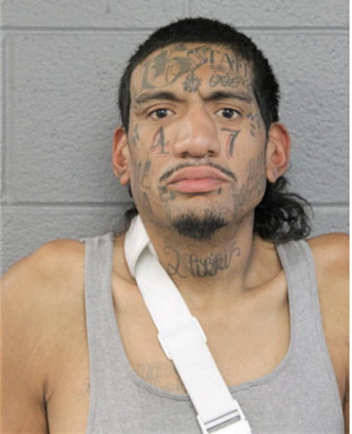 HUGO ANDERSON, Cook County, Illinois