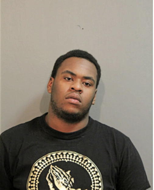 KYLE S ANDERSON, Cook County, Illinois