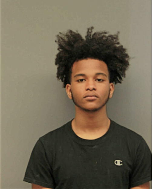 ALHASSANE BAH, Cook County, Illinois
