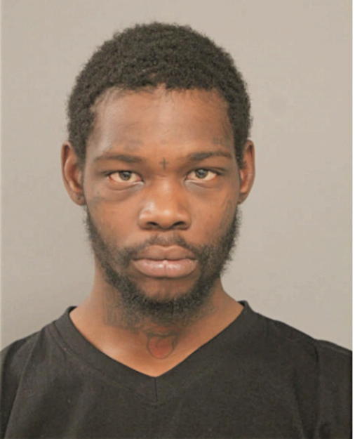 NIREU P CROSBY, Cook County, Illinois