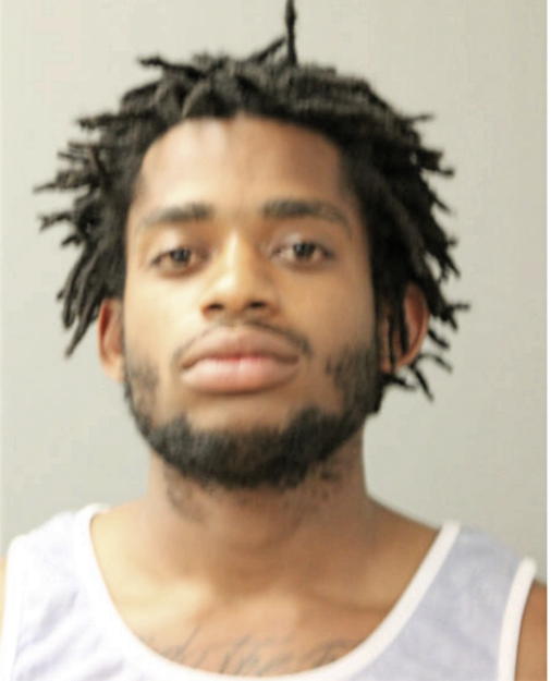 THEO G DAVIS, Cook County, Illinois