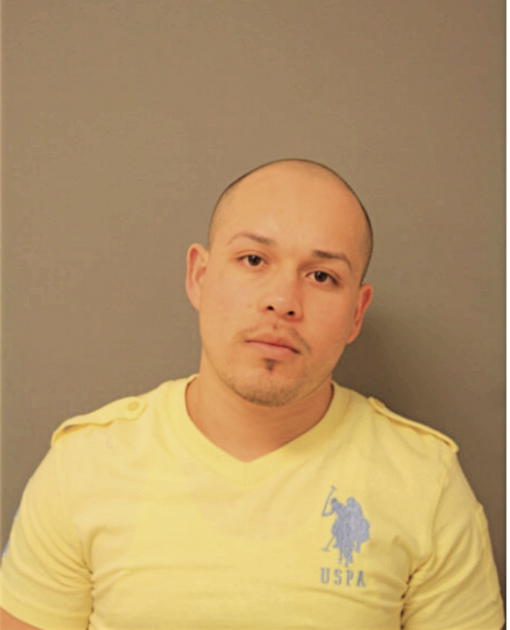 AMBRIZ J GUADELUPE, Cook County, Illinois