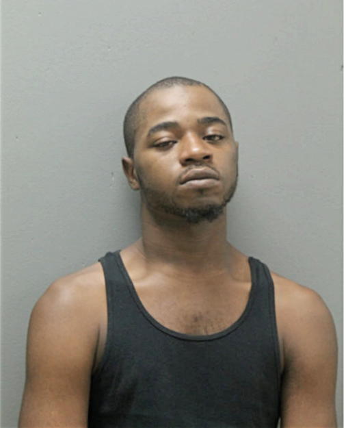 DAVON E JOHNSON, Cook County, Illinois