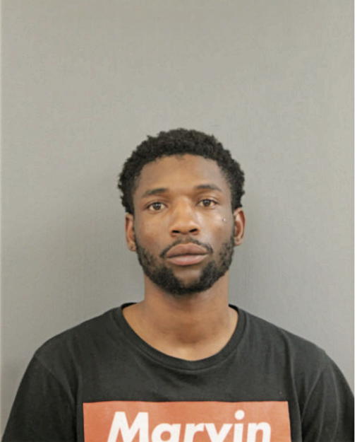 DEVON D JOHNSON, Cook County, Illinois