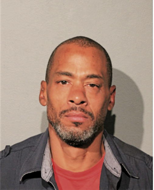 MICHAEL A JOHNSON, Cook County, Illinois
