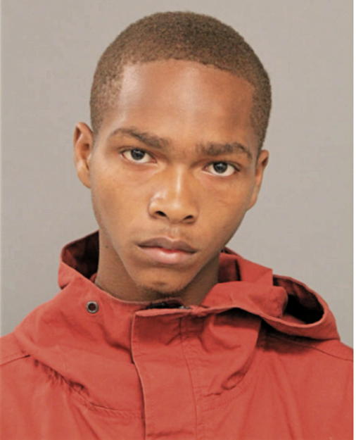 VERNON L JOHNSON, Cook County, Illinois