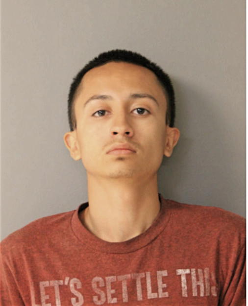 JEAN C LARA, Cook County, Illinois