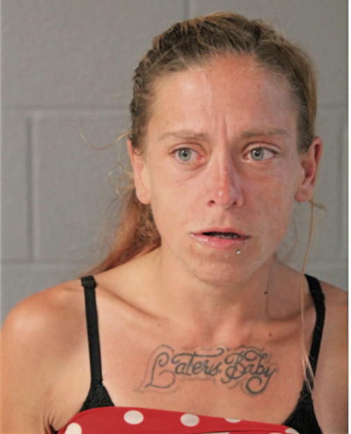 MEGAN L MARIN, Cook County, Illinois