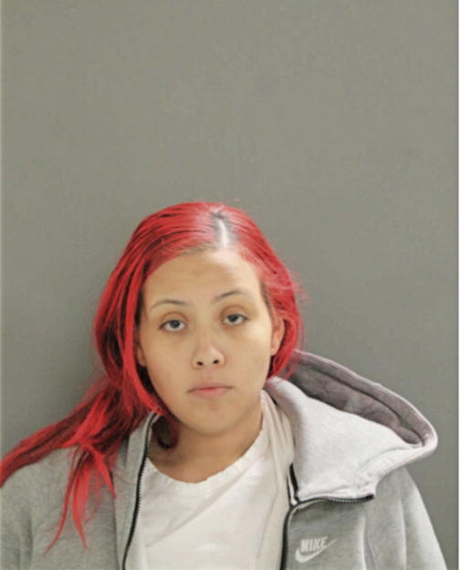 YOLANDA E MORALES, Cook County, Illinois